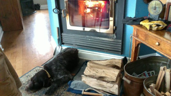 WIN_20160325_10_32_45_Pro